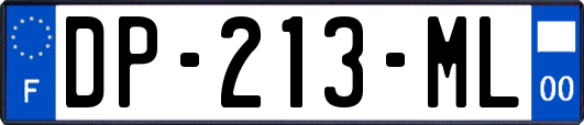 DP-213-ML