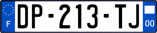 DP-213-TJ