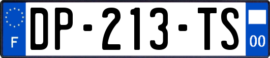 DP-213-TS