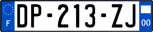 DP-213-ZJ