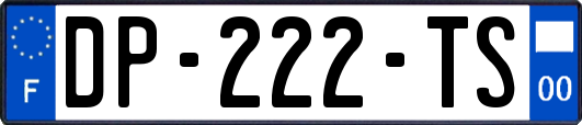 DP-222-TS