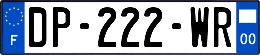 DP-222-WR