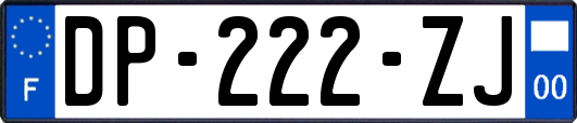 DP-222-ZJ