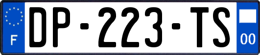 DP-223-TS