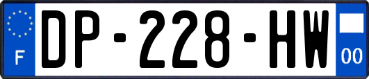 DP-228-HW