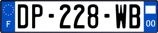 DP-228-WB