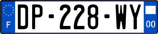 DP-228-WY