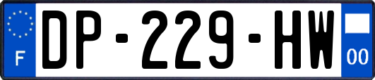 DP-229-HW