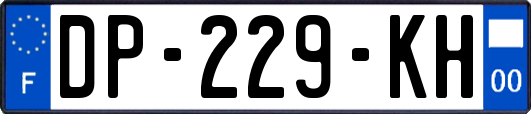 DP-229-KH