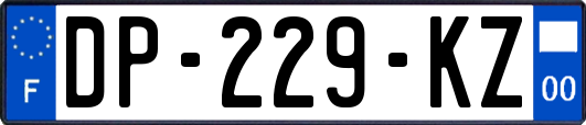 DP-229-KZ