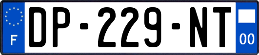 DP-229-NT