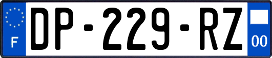 DP-229-RZ