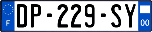 DP-229-SY