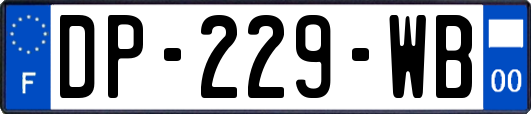DP-229-WB