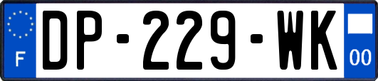 DP-229-WK