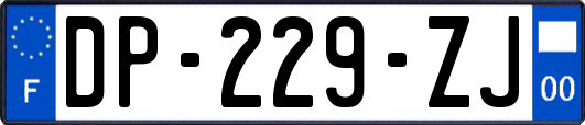 DP-229-ZJ