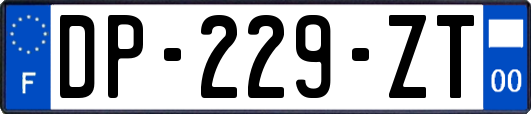 DP-229-ZT