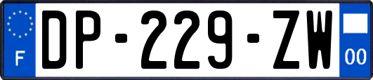 DP-229-ZW