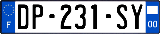 DP-231-SY