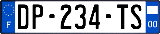 DP-234-TS