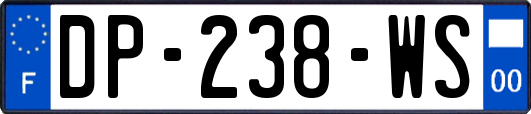 DP-238-WS