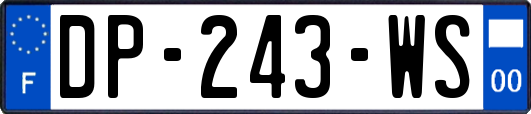 DP-243-WS