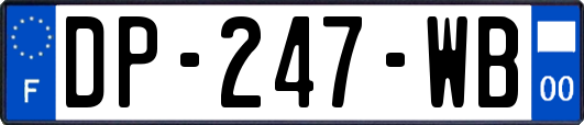 DP-247-WB