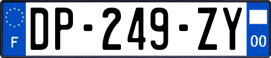 DP-249-ZY