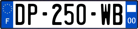 DP-250-WB