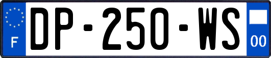 DP-250-WS