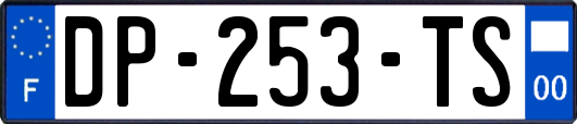 DP-253-TS