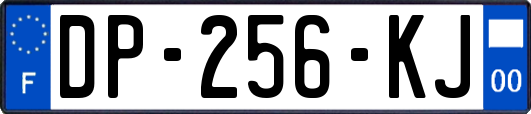 DP-256-KJ