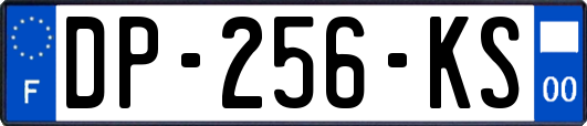 DP-256-KS