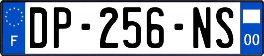 DP-256-NS