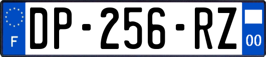 DP-256-RZ