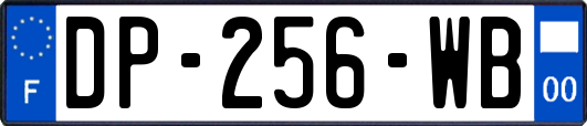 DP-256-WB