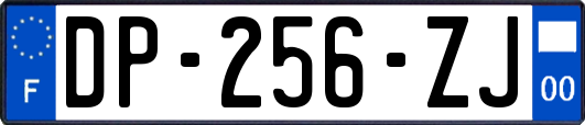 DP-256-ZJ