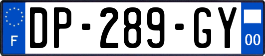 DP-289-GY