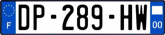 DP-289-HW