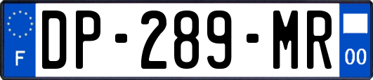 DP-289-MR