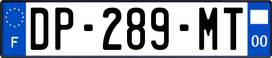 DP-289-MT