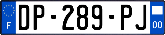 DP-289-PJ