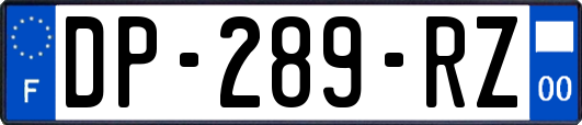 DP-289-RZ