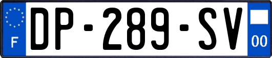 DP-289-SV