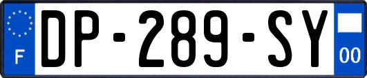 DP-289-SY