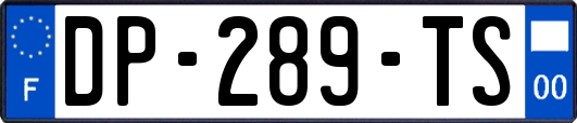 DP-289-TS