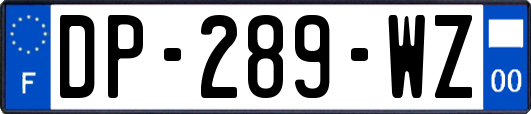 DP-289-WZ