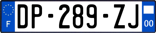 DP-289-ZJ