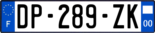 DP-289-ZK