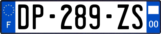 DP-289-ZS